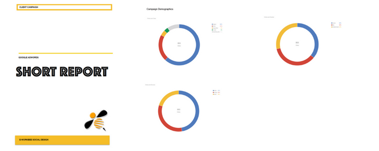 Google Ad Words Report